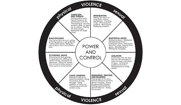 What is Domestic Violence?